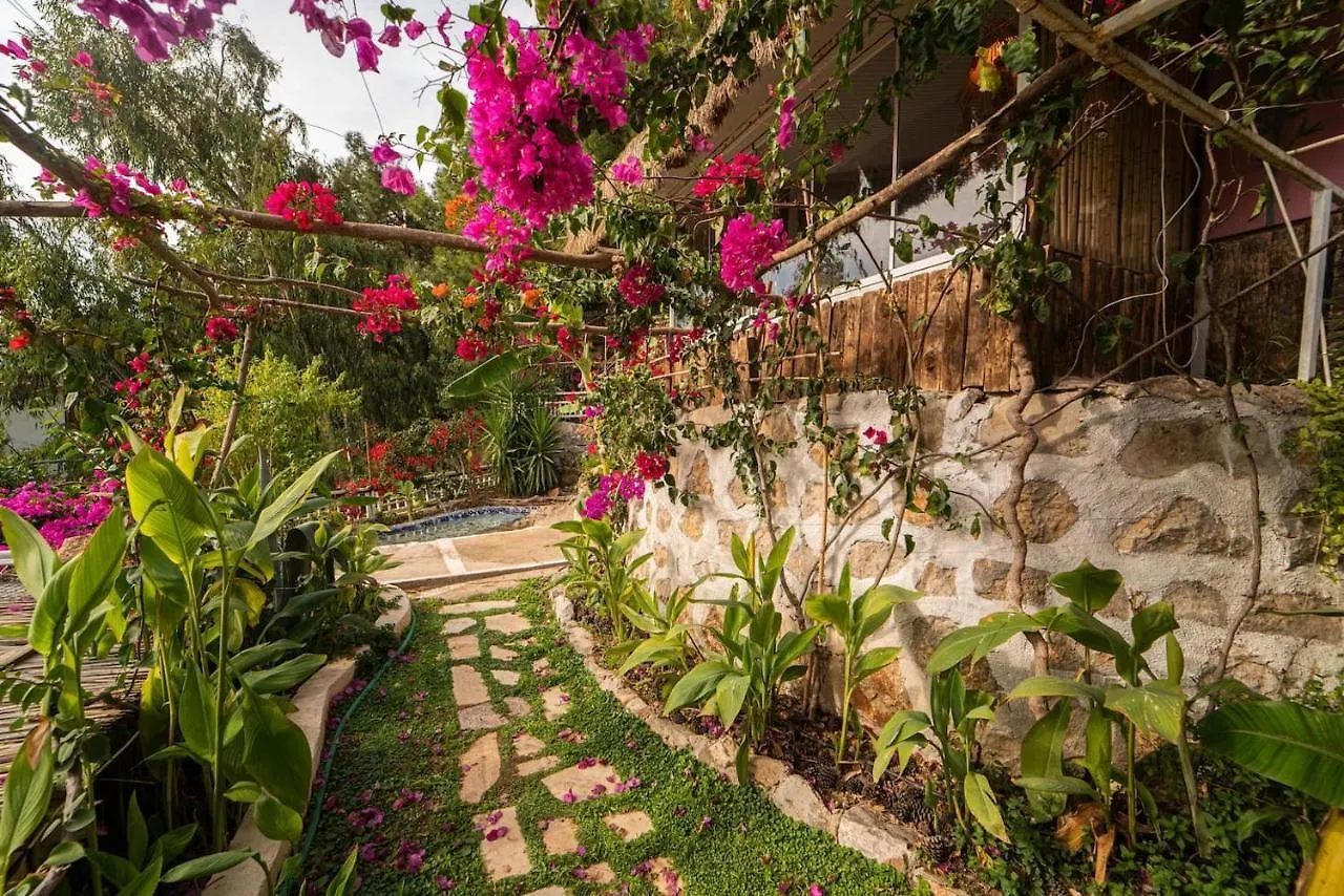 Apart Otel Begonvilla Bungalows Fethiye
