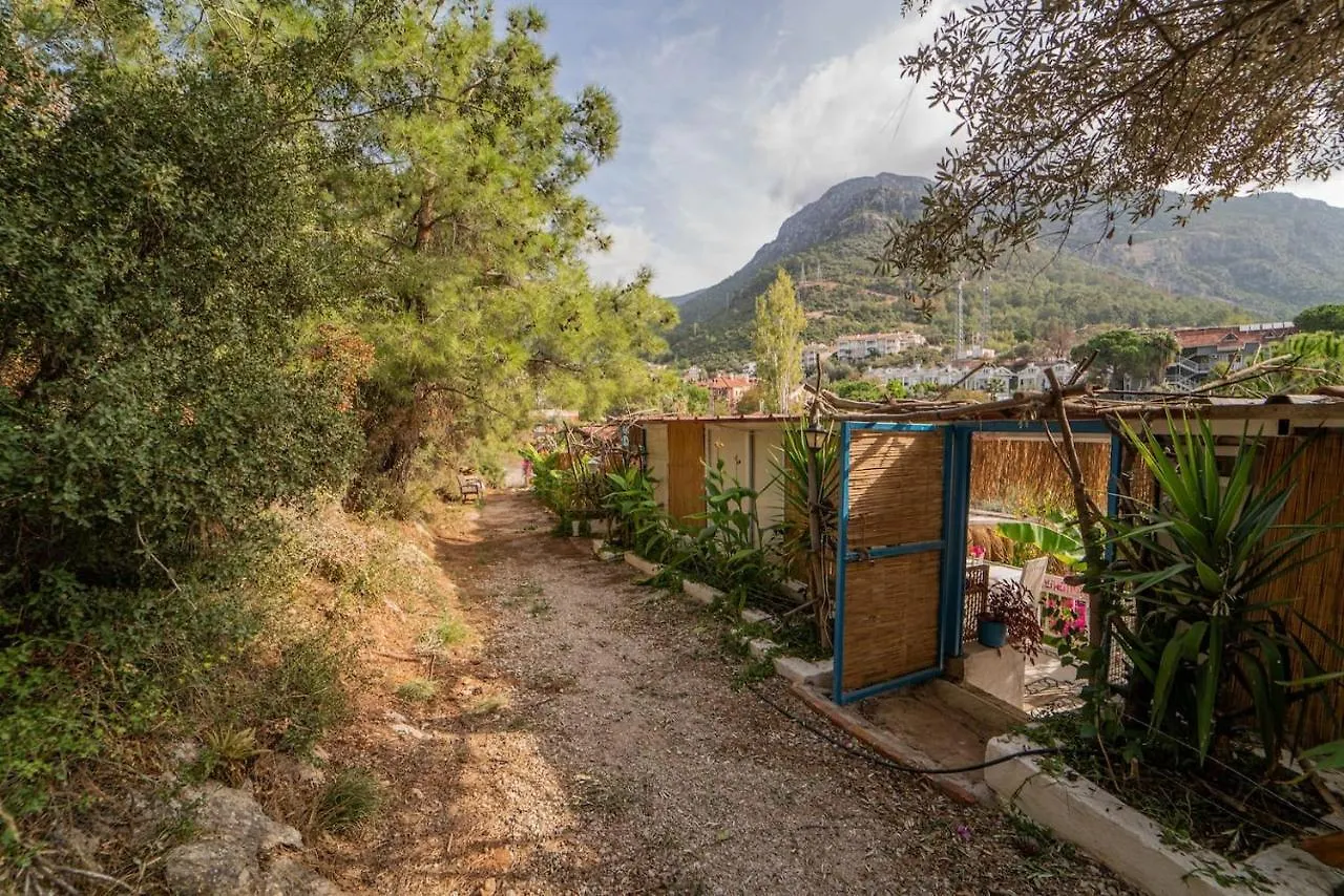 Begonvilla Bungalows Fethiye Türkiye