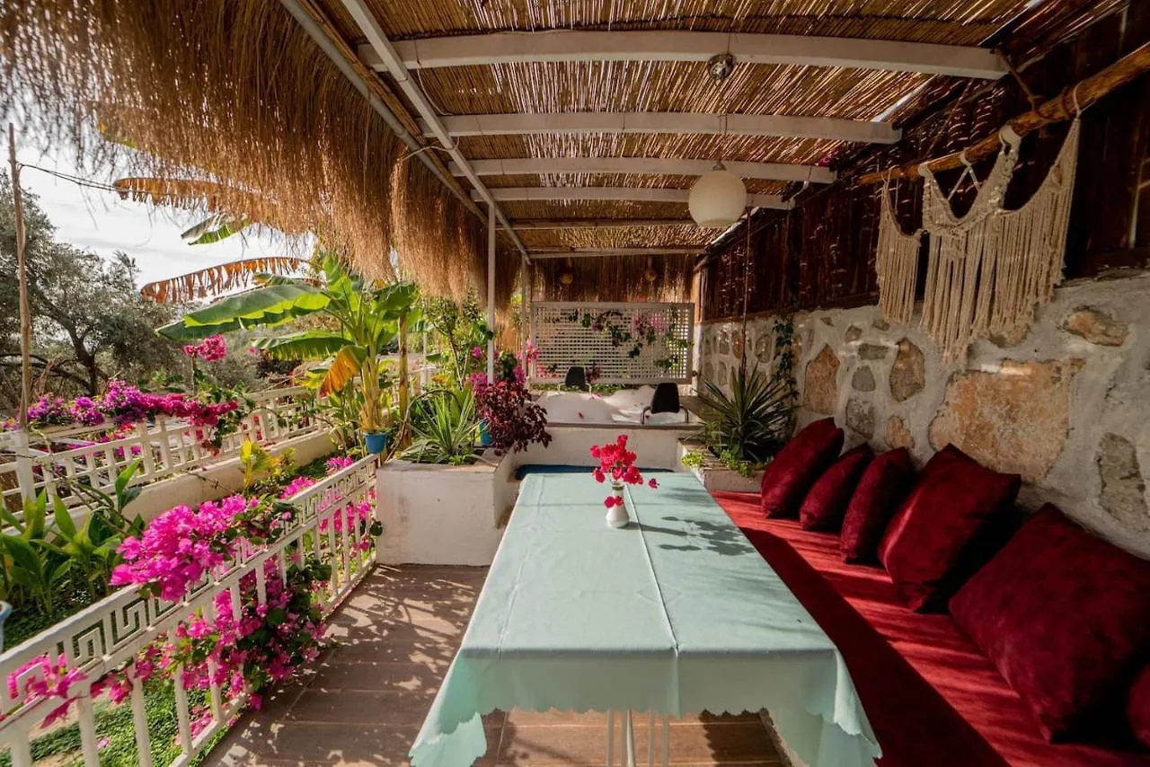 Begonvilla Bungalows Fethiye Apart Otel