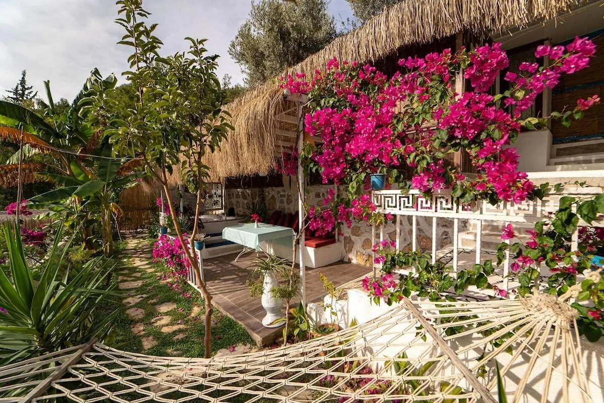 Begonvilla Bungalows Fethiye Apart Otel