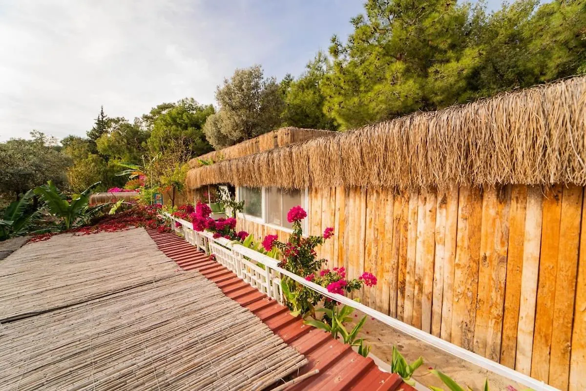 Apart Otel Begonvilla Bungalows Fethiye